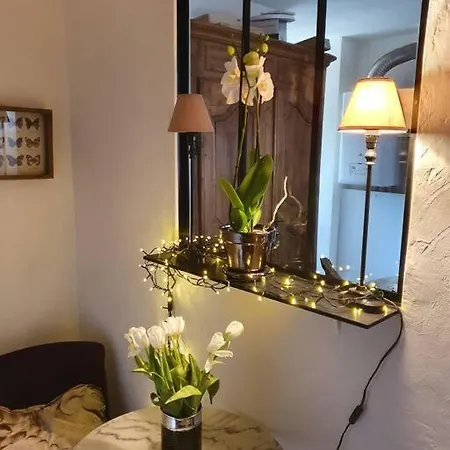 Le Vallis Curans Appartement Saint-Raphaël